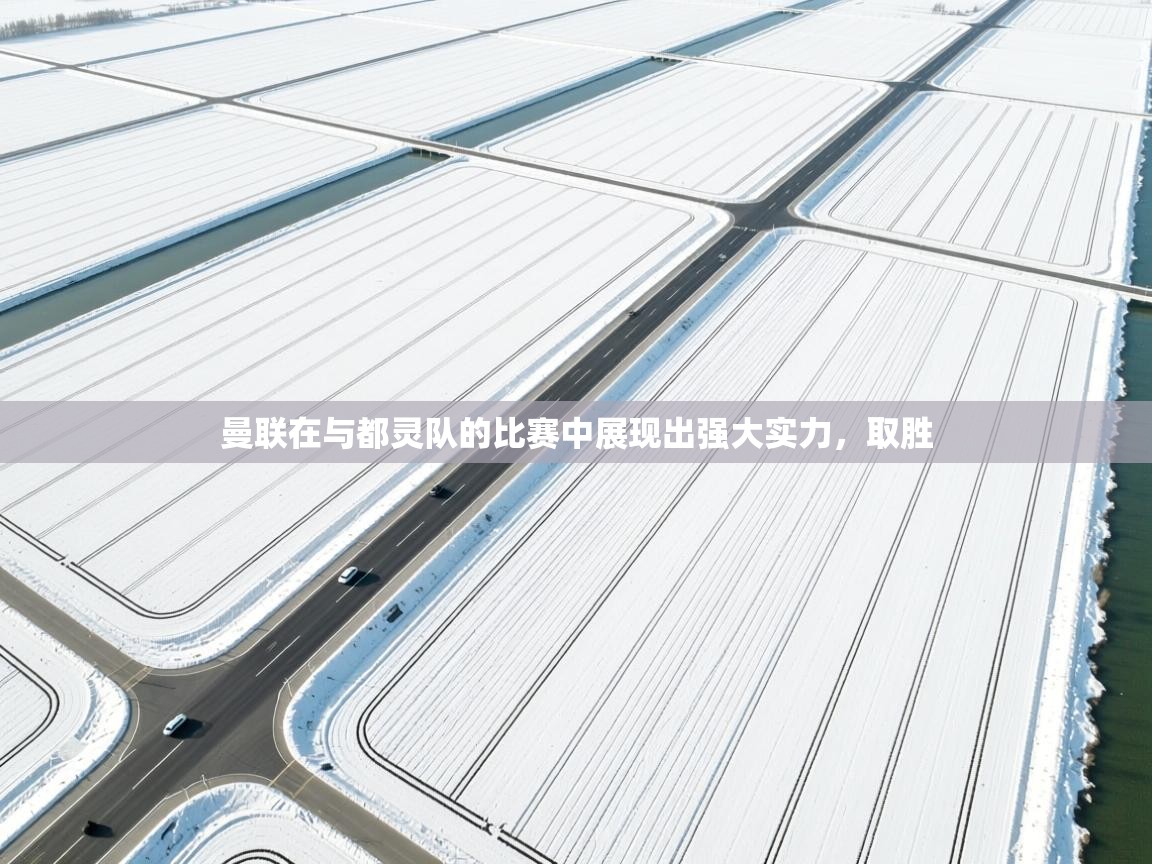 曼联在与都灵队的比赛中展现出强大实力，取胜